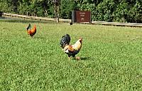 IMG 3822