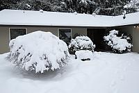 IMG 3884