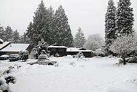 IMG 3892