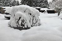 IMG 3894