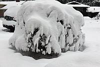 IMG 3897