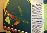 IMG 4064