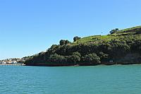 IMG 4118