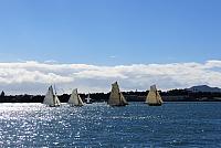 IMG 4216