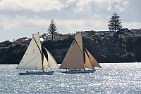 IMG 4217