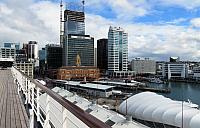IMG 4229