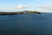 IMG 4239