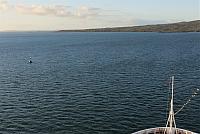 IMG 4246