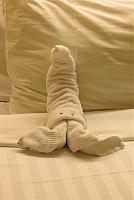 IMG 4256