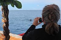 IMG 4451