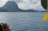 IMG 4453