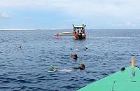 IMG 4467