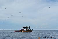 IMG 4470