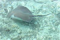 IMG 4483