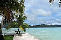 IMG 4517