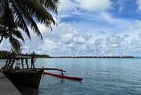 IMG 4520