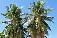 IMG 4769