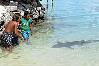 IMG 4794