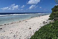 IMG 4810