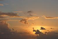 IMG 4861
