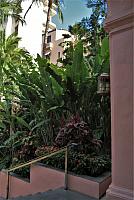 IMG 3956
