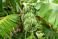 P1130069
