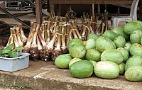 IMG 4288