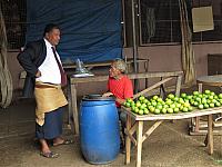 IMG 4291