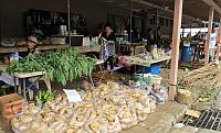 IMG 4309