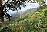 IMG 4906