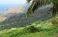 IMG 4909