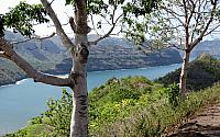 IMG 4921