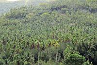 IMG 4934