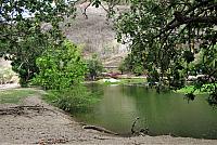IMG 4962