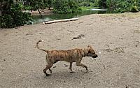 IMG 4963