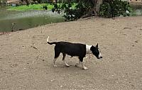 IMG 4964