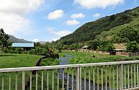 IMG 4970