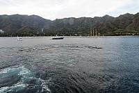 IMG 5019