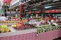 IMG 4591