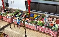 IMG 4594