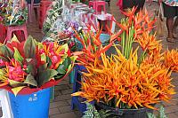 IMG 4604