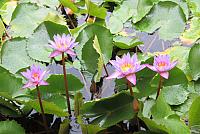 IMG 4676