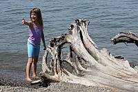 IMG 5109