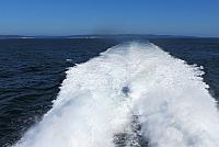 IMG 5135