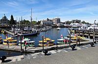 IMG 5140