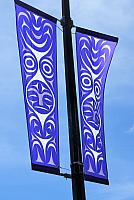 IMG 5154