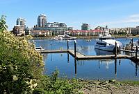 IMG 5155