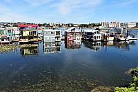 IMG 5158