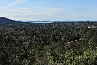 IMG 5202