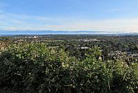 IMG 5206